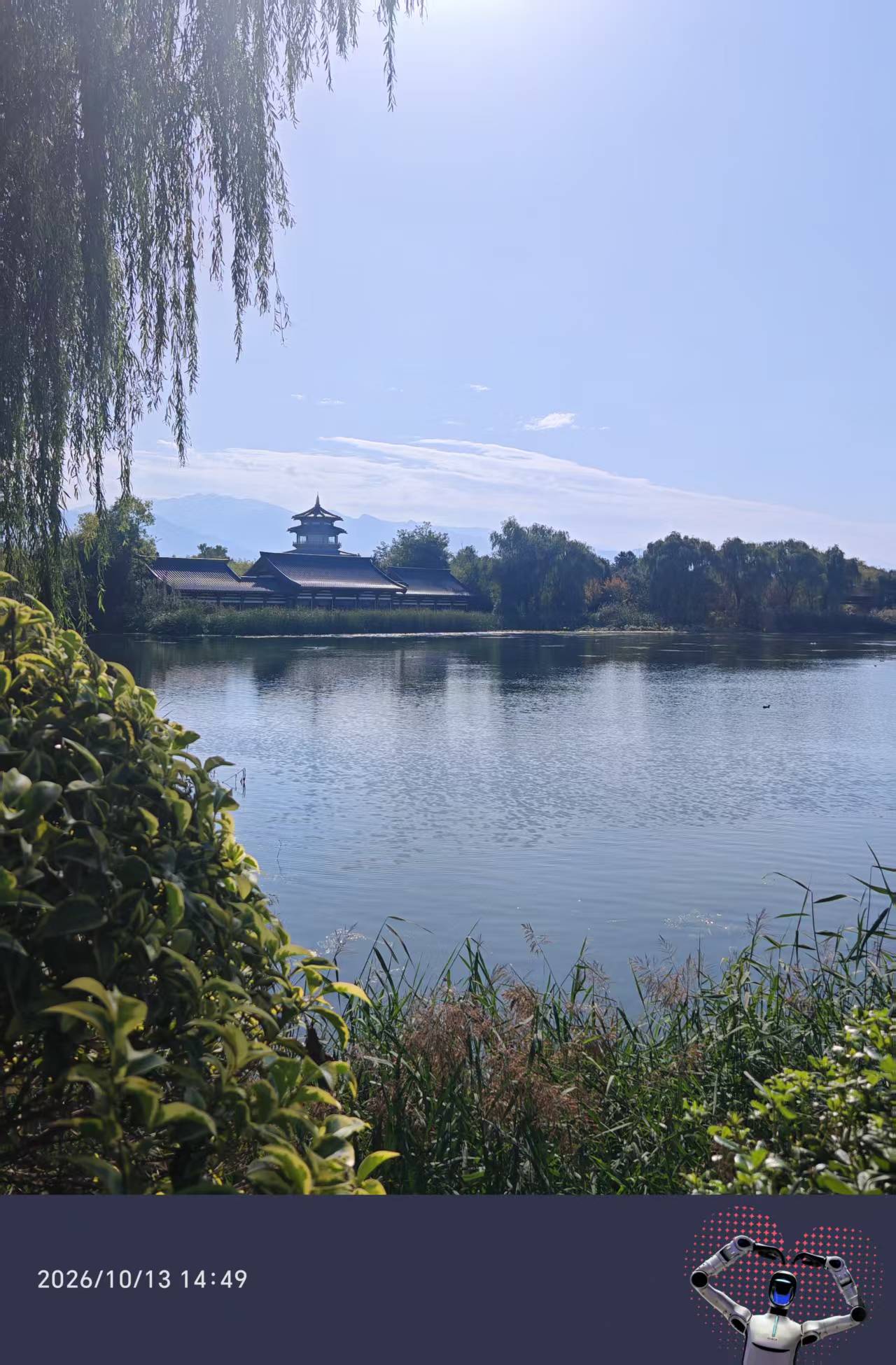 渼陂湖家庭游记